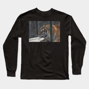 Tiger Long Sleeve T-Shirt